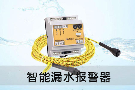 漏水报警器助力数据中心应对严寒冬季