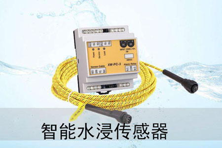 水浸探测器在智慧粮仓物联网建设中的应用