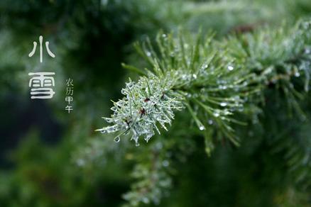 漏水报警器助力数据中心应对严寒冬季