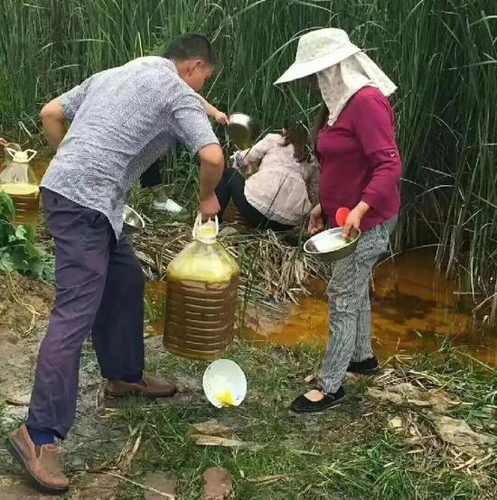 漏油检测设备助你避免菜籽油泄漏